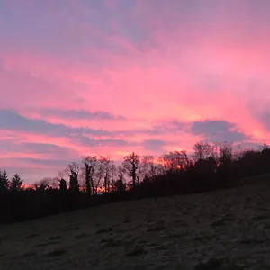  Homestay Forest View - Castlewellan, County Down